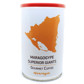 Nicaragua Maragogype Superior Giants