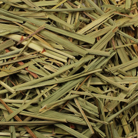 Hierba luisa (Lemongrass z Peru)