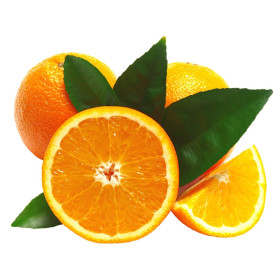 Divoký pomaranč