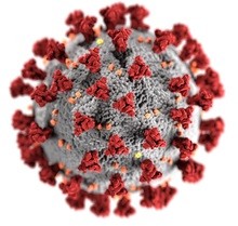 koronavirus-3_424aad42c.jpg